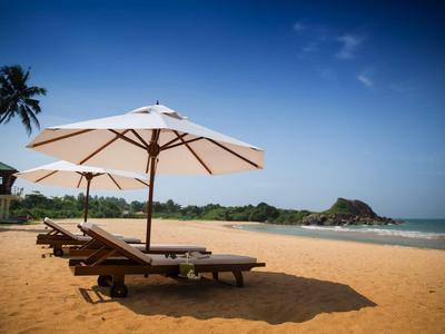 Puste leżaki pod parasolami na spokojnej piaszczystej plaży z palmami i czystym niebem.