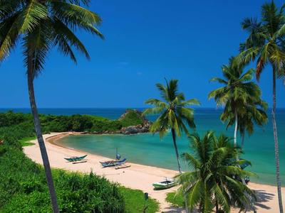 Tropikalna plaża z palmami, białym piaskiem, niebieskim morzem i czystym niebem.