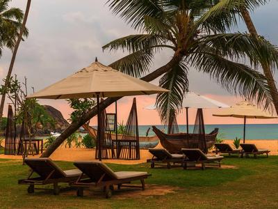 Leżaki z parasolami na trawie przy plaży o zachodzie słońca.