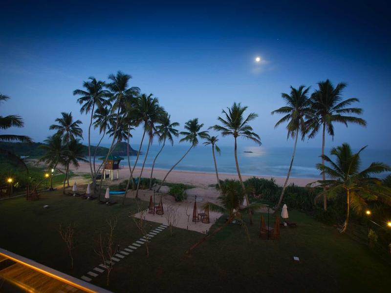 Palmy na plaży o zmierzchu z oświetlonymi ścieżkami i księżycem na niebie