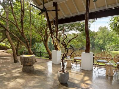 Zastřešená terasa se židlemi a stoly obklopená stromy a rostlinami.