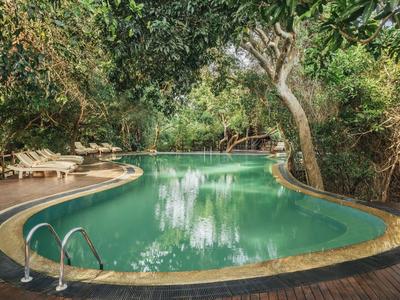 Poklidný bazén se zelenou vodou obklopený stromy a lehátky.