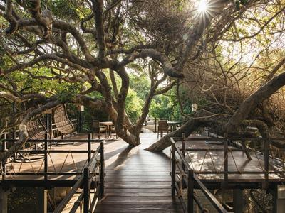 Dřevěná lávka s postelemi pod hustou korunou stromů a slunečním světlem v pozadí