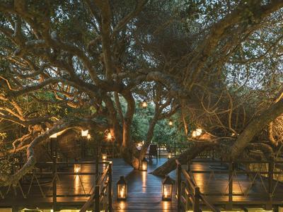 Osvětlená dřevěná lávka mezi velkými stromy v klidném hotelovém prostředí za soumraku.