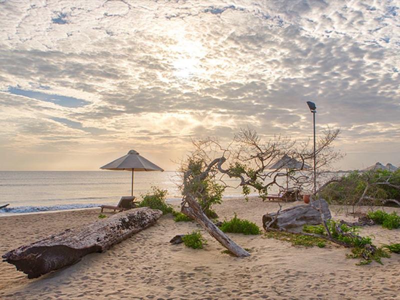 Spiaggia con sabbia, alberi caduti, ombrellone e cielo nuvoloso al tramonto.