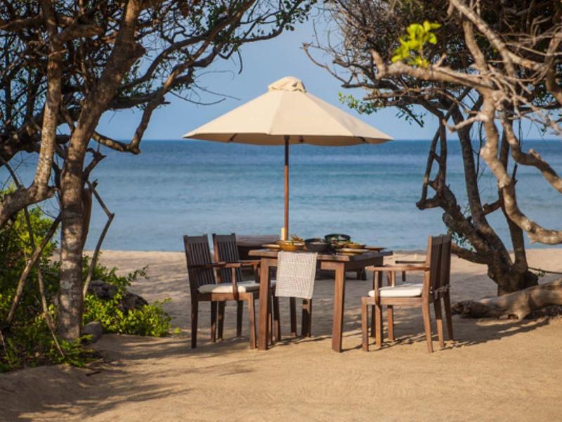 Un tavolo da pranzo con sedie e un ombrellone è posizionato sotto gli alberi vicino al mare.