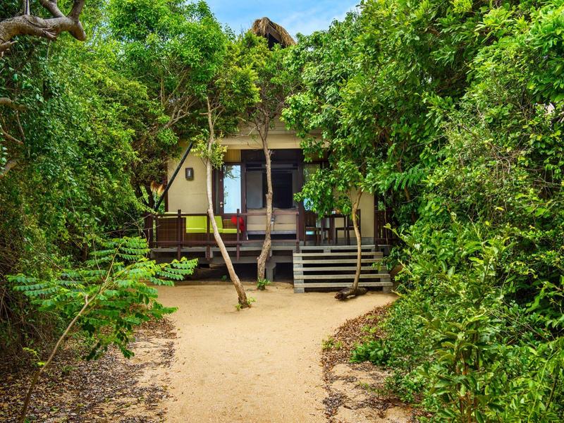 Una lodge nascosta in una fitta foresta verde con un sentiero davanti.