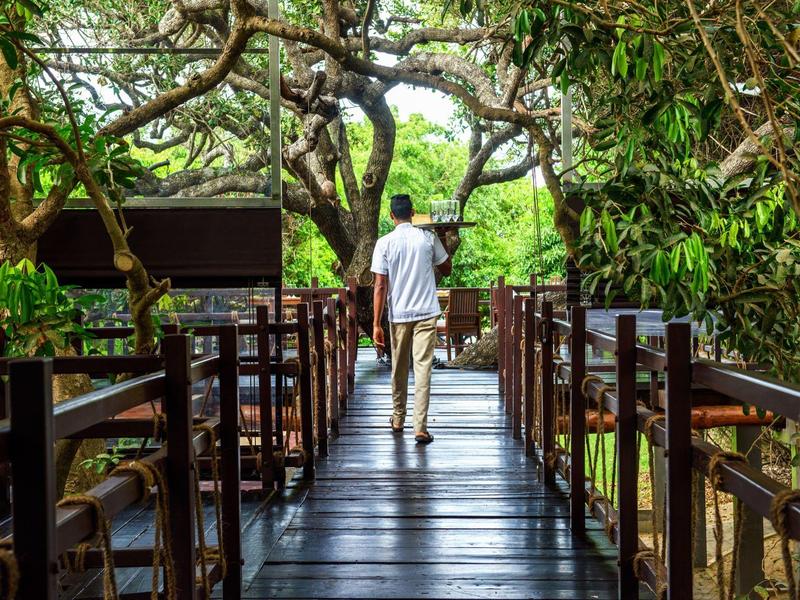 Persona che cammina su una passerella di legno circondata da alberi in una località tropicale
