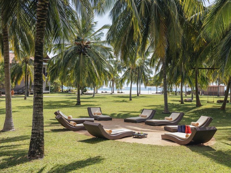 Chaises longues sous des palmiers sur de l'herbe verte avec vue sur la mer par ciel clair.