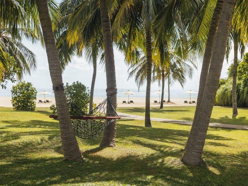 Hamac entre des palmiers avec vue sur la plage de sable et la mer en arrière-plan
