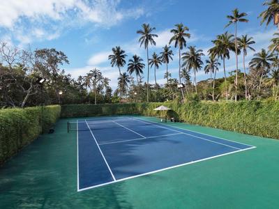 Blauer Tennisplatz mit weißen Linien, umgeben von Palmen und grünem Laub unter blauem Himmel.