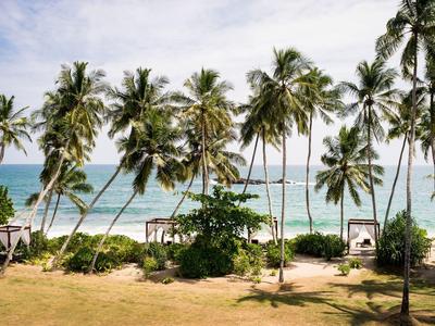 Palmen am Strand mit Blick auf das Meer und Schaukeln unter den Bäumen