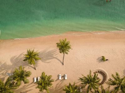 Vogelperspektive eines tropischen Strandes mit Palmen und klarem blaugrünem Wasser.