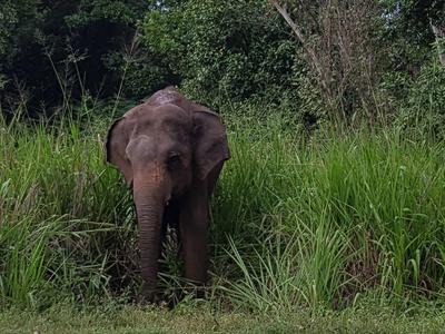Eindrücke aus Sri Lanka