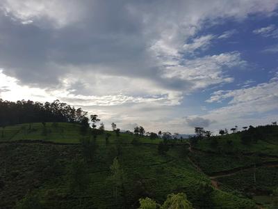 Eindrücke aus Sri Lanka