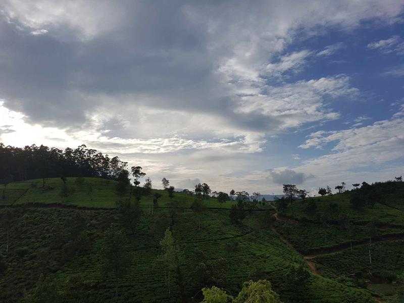 Grüne Hügel mit vereinzelten Bäumen unter bewölktem Himmel mit blauem Hintergrund.