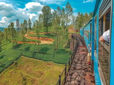 Modrý vlak projíždí zelenými čajovými plantážemi pod modrou oblohou s mraky.