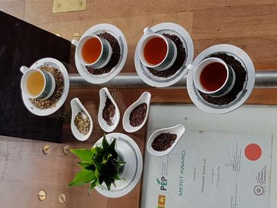 Různé druhy čajů a ingredience na tácu vedle zelené rostliny na dřevěném stole.