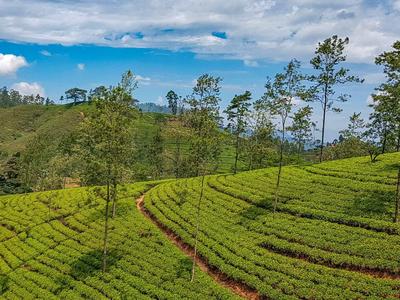 Kurzrundreise Sri Lanka