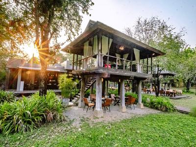 Modernes Baumhaus mit Terrasse umgeben von grünem Gras und Bäumen bei Sonnenuntergang.