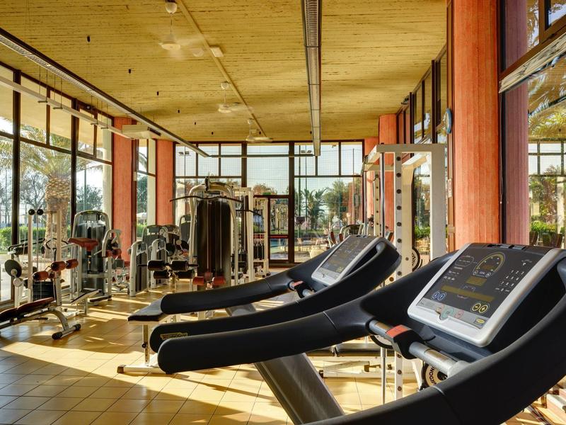 Heldere sportschool met moderne fitnessapparatuur en grote ramen met uitzicht op het groen buiten.