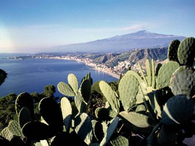 Kakteen im Vordergrund, dahinter Küstenstadt mit blauem Meer und Berg im Hintergrund bei klarem Himmel.