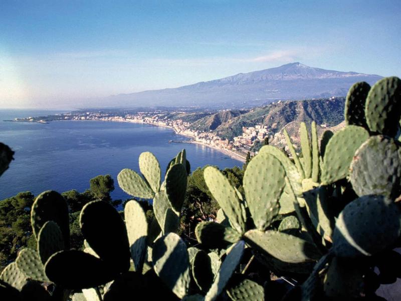 Kakteen im Vordergrund, dahinter Küstenstadt mit blauem Meer und Berg im Hintergrund bei klarem Himmel.