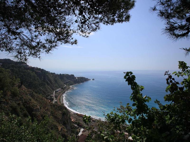 Krajobraz wybrzeża z czystym niebem, lasem na pierwszym planie i spokojnym morzem.