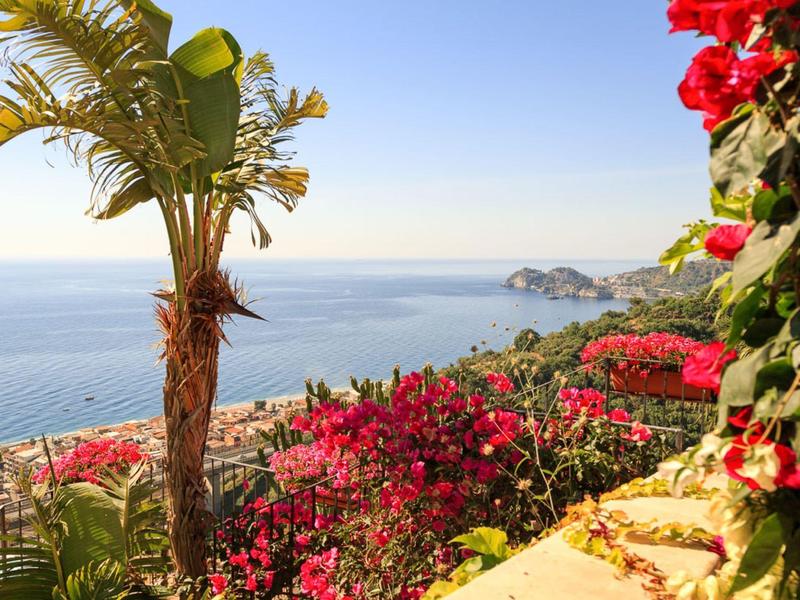 Uitzicht op de zee met palmbomen en bloeiende rode bloemen op een zonnige dag.