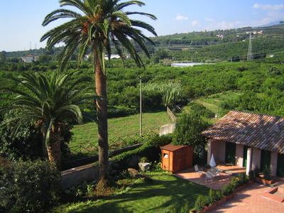 Grüne Landschaft mit Palmen, kleinem Holzhäuschen und Garten vor bewaldeten Hügeln unter blauem Himmel.
