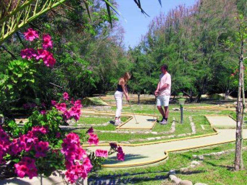 Two people playing mini golf surrounded by green trees and vibrant pink flowers.