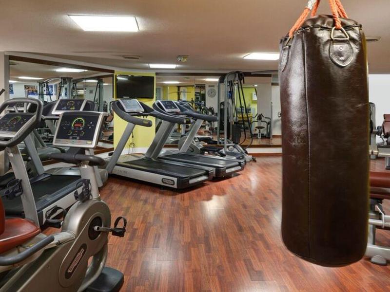 Fitnessruimte met loopbanden, hometrainers en een grote hangende bokszak.