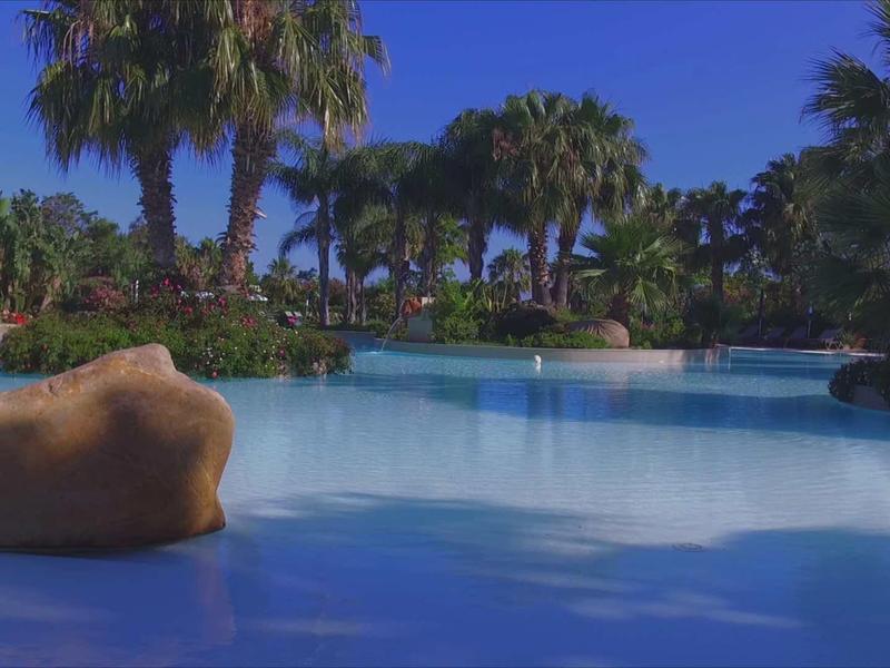 Piscine avec eau claire, rochers et palmiers en arrière-plan.