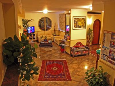 Cozy hotel lounge area with rugs, sofas, TVs, and plants.