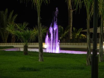 Beleuchteter Brunnen mit violettem Wasserstrahl, umgeben von Palmen und Gras bei Nacht.