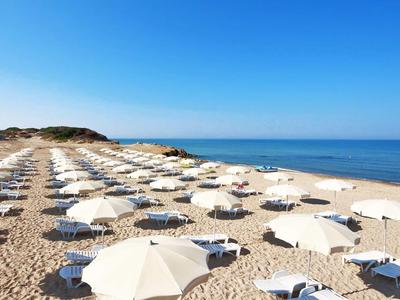 Spiaggia con ombrelloni bianchi aperti e lettini vicino al mare sotto un cielo sereno.