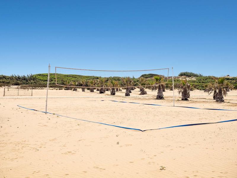 Piaszczysta plaża z palmami, siatką do siatkówki i czystym niebieskim niebem.