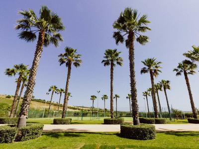 Pohled na zelenou plochu s vysokými palmami a jasně modrou oblohou u hotelu.