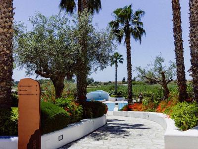 Stíněná dlážděná cesta s palmami a rostlinami vede k hotelu u vody.