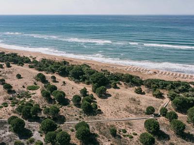 Pohled na pláž s vlnami a slunečníky, obklopenou zelenou vegetací a písečnými dunami.