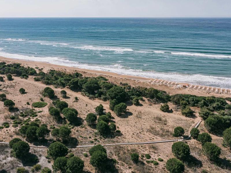 Pohled na pláž s vlnami a slunečníky, obklopenou zelenou vegetací a písečnými dunami.