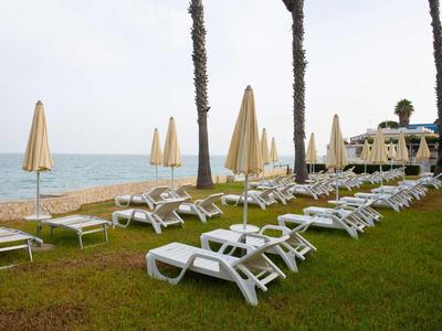 Puste leżaki i zamknięte parasole na trawiastym terenie przy plaży z widokiem na morze.