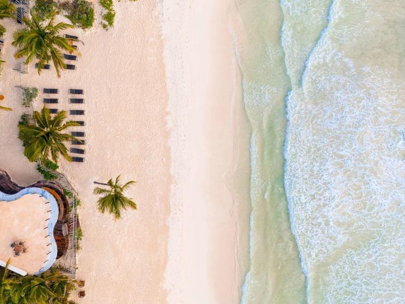 Widok z lotu ptaka na plażę z falami, piaskiem, palmami i hotelem.
