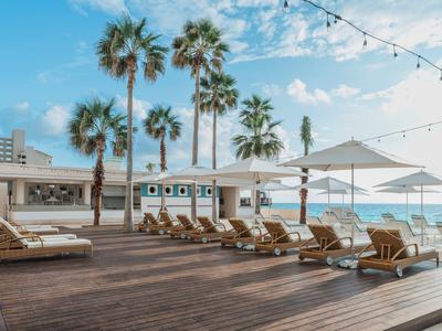 Terraza soleada del hotel con palmeras, tumbonas y vistas al mar bajo cielo azul.