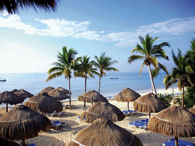Spiaggia con palme e ombrelloni di paglia che si affacciano su un mare calmo sotto un cielo azzurro.