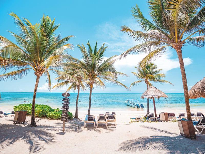 Plage tropicale avec palmiers, chaises longues et ciel bleu au bord de la mer calme.