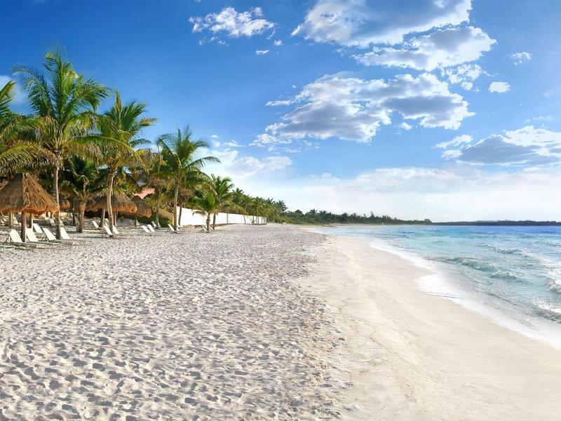 Spiaggia sabbiosa con palme e cielo azzurro limpido sulla riva dell'oceano.