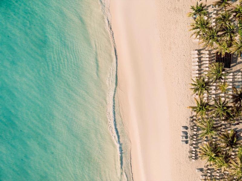 Vista aerea di una spiaggia sabbiosa con acqua turchese e palme lungo la riva.
