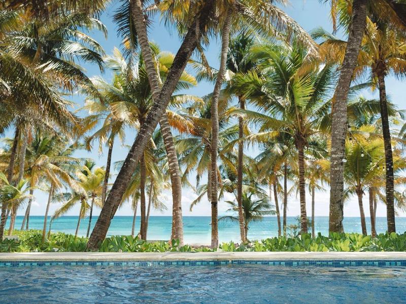 Palme lungo la riva oltre una piscina blu sotto un cielo limpido.