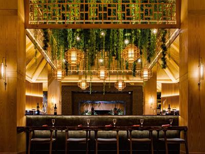 Elegante Bar mit hölzernen Wänden, grünen Hängepflanzen und warmem, stimmungsvollem Licht.